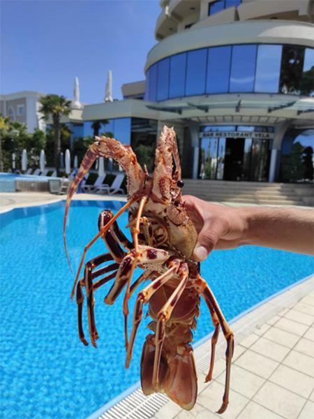 Vela Hotel Restaurant Golem  Eksteriør billede